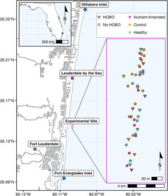 Assessment of nutrient amendments on stony coral tissue loss disease in Southeast Florida